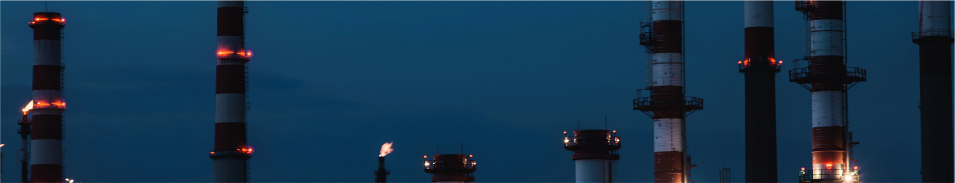 banner3